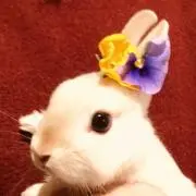 なのは