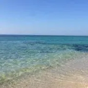 こげぱん