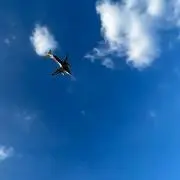 keeeの画像