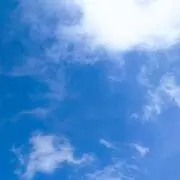 NoA