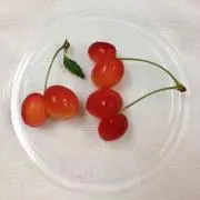 さっちんの画像