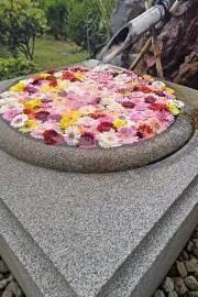 sai　10円バラ売更新中BS24迄の画像