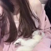 ぽんの画像