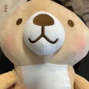 こねずみの画像