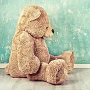 テディ