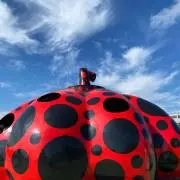 みっちーの画像