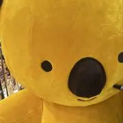 Mariの画像