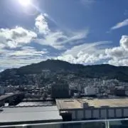 まきの画像
