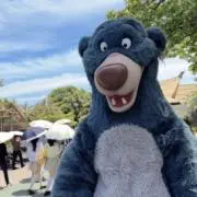 バルーの画像