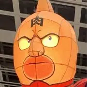 かあの画像