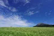 aruhenaの画像