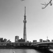チャンミの画像