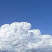 聡羽の画像