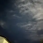 れもんの画像