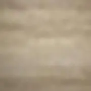 おしおの画像