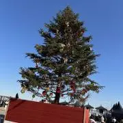 ルートの画像