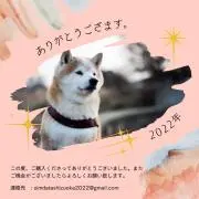 静岡゜.+(〃ノωノ)゜.+°の画像