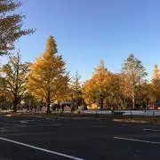 monの画像