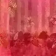 みゆの画像