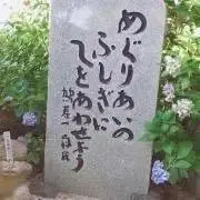 ボブの画像