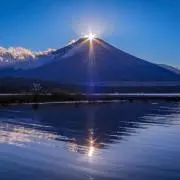 molfoの画像