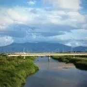 まことんぬ