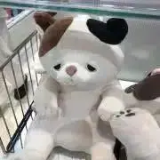 せいの画像