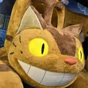 mokoの画像