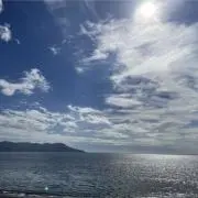 やまとの画像