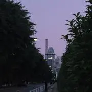 まろんの画像