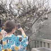 かなの画像