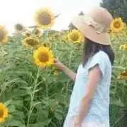 Missの画像