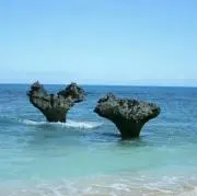 やまとんちゅママの画像