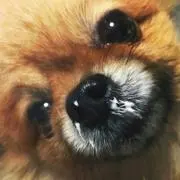 ミルク