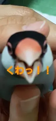 ちぃの雑貨屋の画像