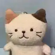 トムの画像