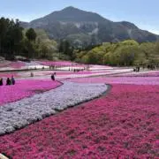 kanaの画像