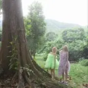 ♪の画像