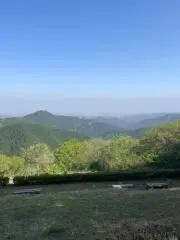 まるすの画像