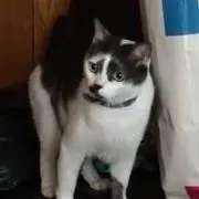 くーちゃん