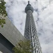 のっちの画像