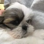 anの画像