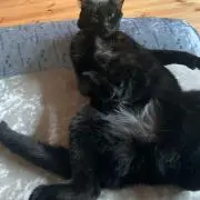 みち