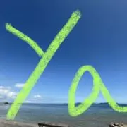 なんでも