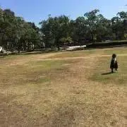 みにますの画像