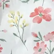 ⭐︎lu