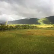 沼の画像