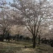 kainori