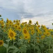 mの画像