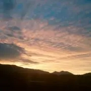 ひまわり